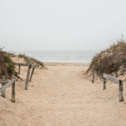 Andrea Piñeiro Playa